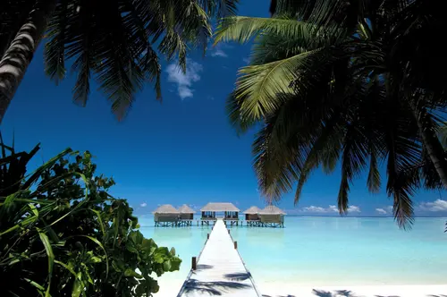 Image "Tropical beach with snow-white sand, turquoise water, palm trees and a wooden pier leading to the bungalow on piles" (4288x2848)
