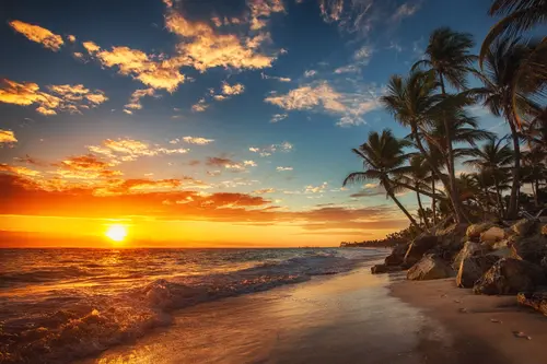 Image "Tropical sunset on the beach with palm trees" (5760x3840)