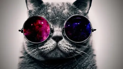 Image "A cool cat in multi-colored glasses with a galaxy in them" (3200x1798)