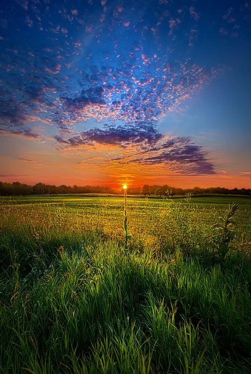 Image "Stunning sunset in the field" (1344x2000)