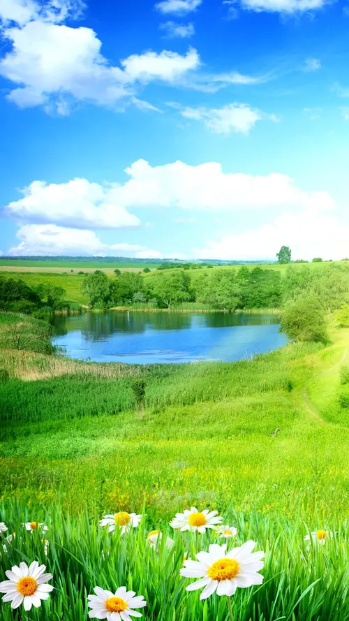 Image "A landscape with a lake surrounded by green grass and flowers" (1215x2160)