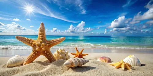 Image "Beautiful beach landscape with sea stars and shells in the sand" (2500x1250)