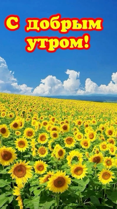 Изображение «С добрым утром!» (1080x1920)