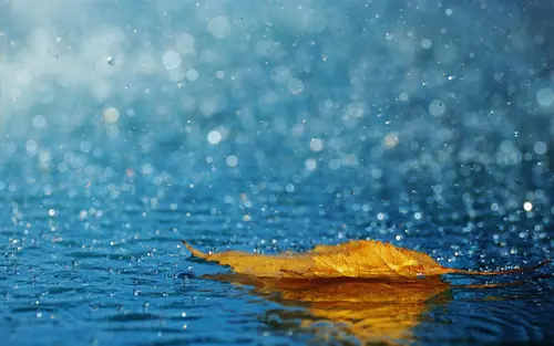 Image "A yellow leaf floats on the water, surrounded by raindrops" (5120x3200)