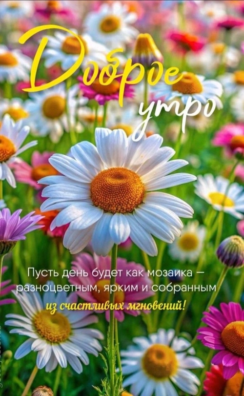 Изображение «Доброе утро! Пусть день будет как мозаика - разноцветным, ярким и собранным из счастливых мгновений!» (720x1168)