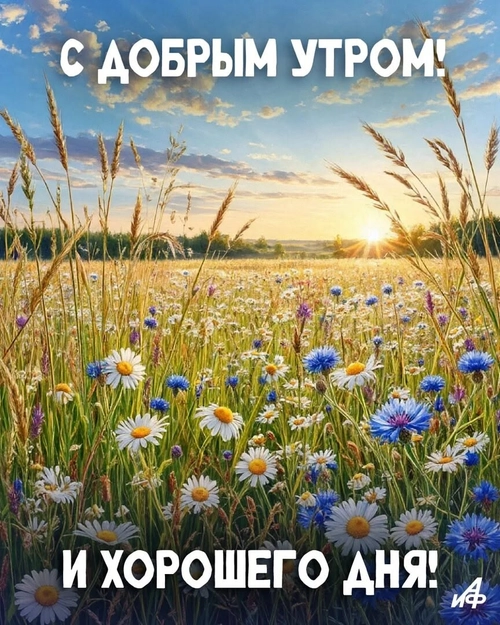 Изображение «С добрым утром! И хорошего дня!» (864x1080)