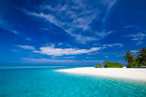 Image "White tropical beach in Maldives with few palm trees and blue lagoon" (2560x1707)