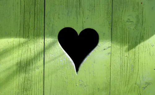 Image "The heart is carved in green boards" (3538x2187)