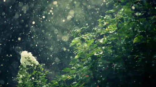 Image "Spring rain" (3840x2160)