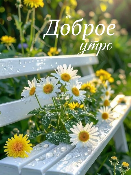 Изображение «Доброе утро! 🌞 Пусть этот день будет таким же ярким и солнечным, как эти ромашки! 🌸 Желаю, чтобы он принес тебе радость, вдохновение и море позитива! 🌼» (1200x1600)