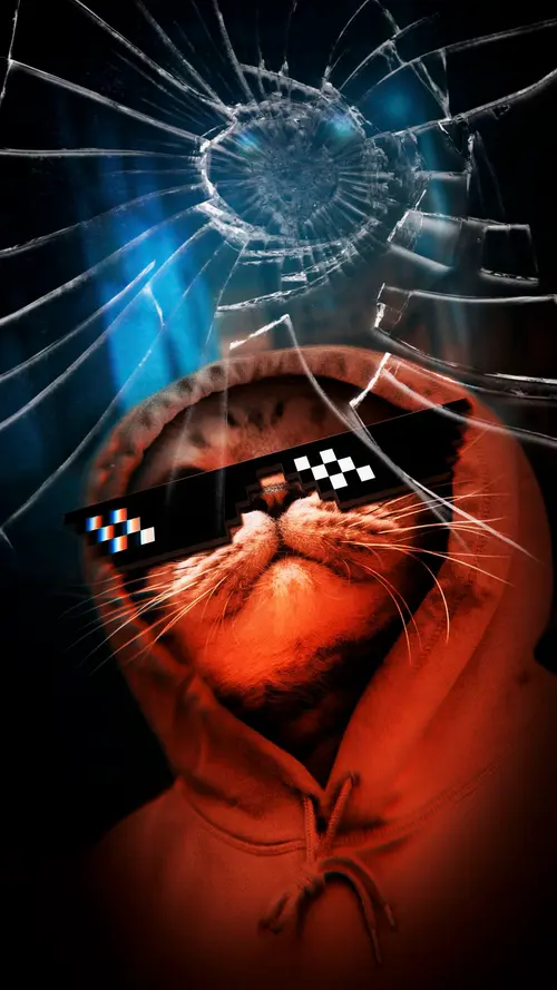 Image "A cat in a hoodie and glasses on a background of broken glass" (1080x1920)