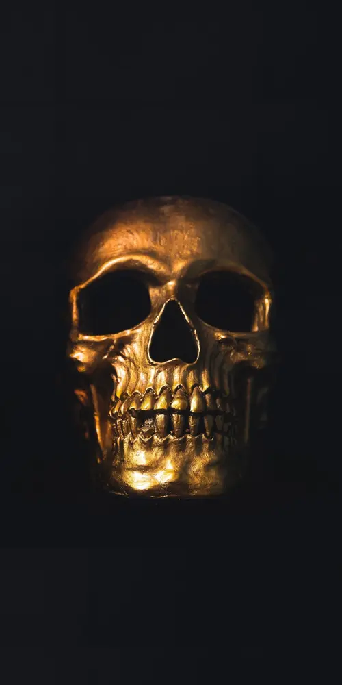 Image "Golden skull on a black background" (1080x2160)