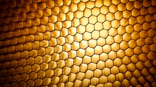 Image "The honeycomb" (1920x1080)