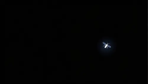 Image "A glowing fly on a black background" (3840x2194)