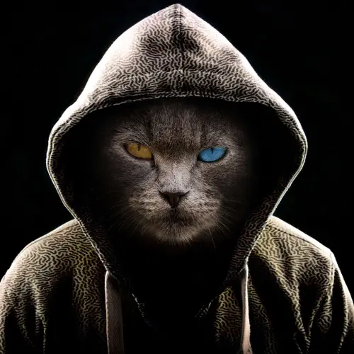 Image "A cat in a hood with multi-colored eyes" (2580x2580)