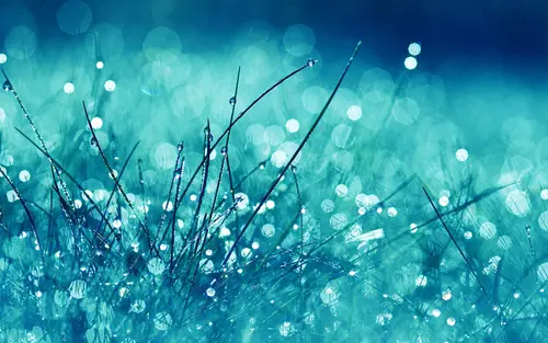 Image "Drops on the grass" (3840x2400)