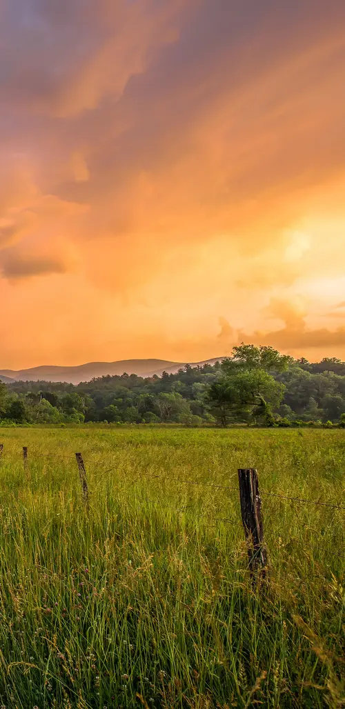 Image "Stunning rural landscape: a field with tall grass, a fence, trees and mountains in the background" (1439x2960)