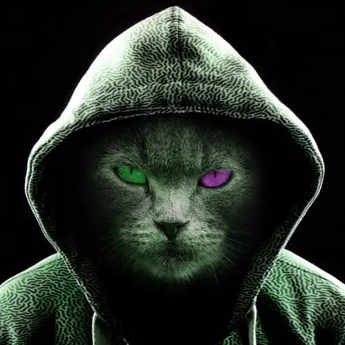 Image "A cat in a green hood with multi-colored eyes" (1920x1920)