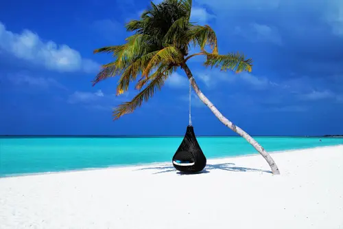 Image "On a white beach, a cozy chair swings under a palm tree, surrounded by a turquoise sea and a clear sky." (6000x4000)