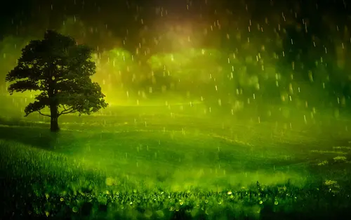 Image "A picturesque landscape with a lonely tree on the background of a green meadow, in the rain" (1920x1200)