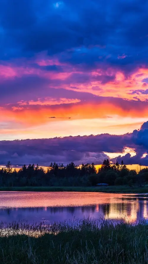 Image "Beautiful summer sunset over the lake and surrounding forest" (1080x1920)