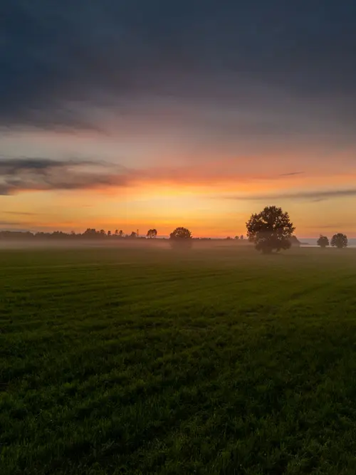 Image "A stunning sunrise over a field shrouded in a light fog" (1920x2560)