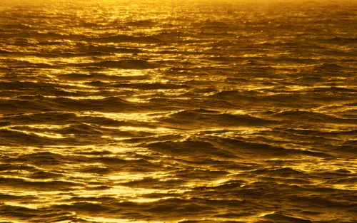 Image "Golden sunset reflections shimmer on the waves, golden sea" (2560x1600)