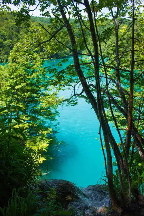 Image "The turquoise lake is surrounded by dense green trees" (1707x2560)