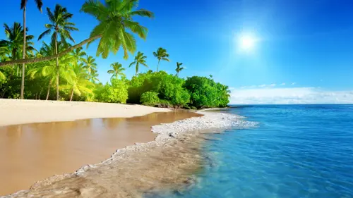 Image "Tropical beach with palm trees, sandy shore and crystal clear water" (5120x2880)