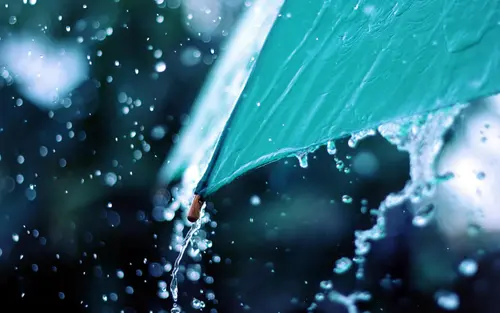 Image "A green umbrella dripping with rain" (2880x1800)